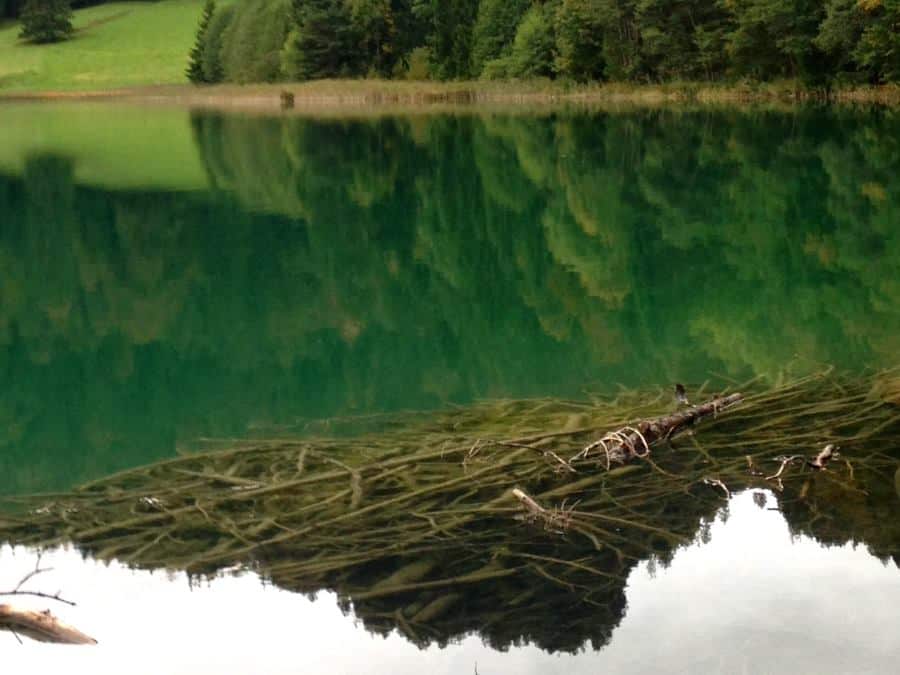 Geheimnisvolles auf dem Grund des Alatsees