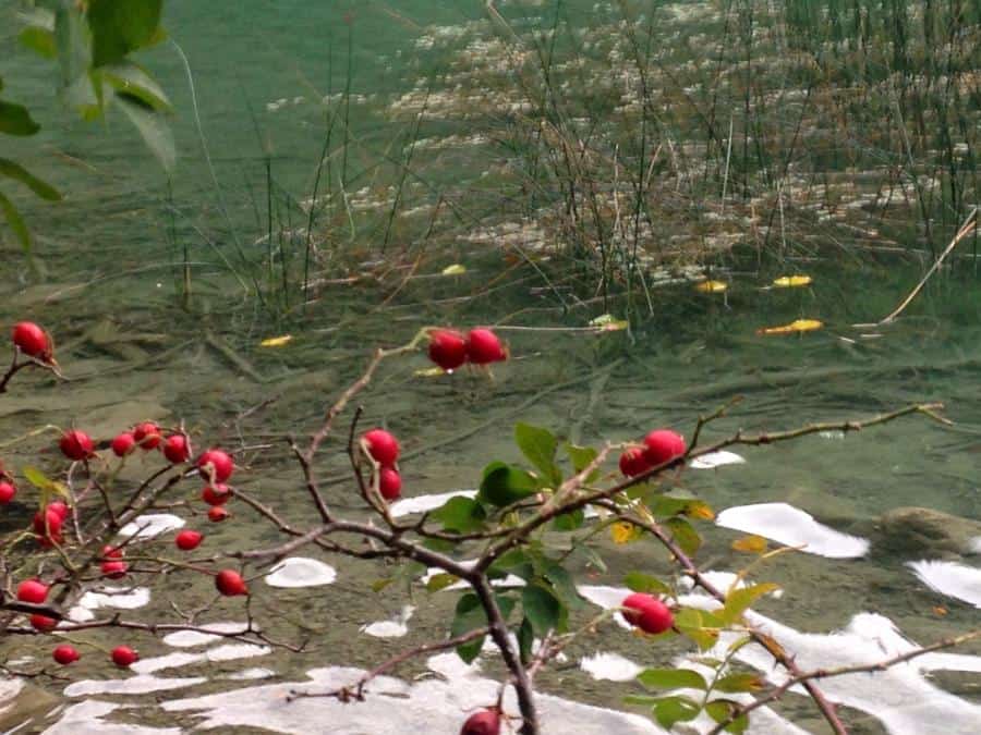 Am Alatsee, dem "blutenden See" im Ostallgäu
