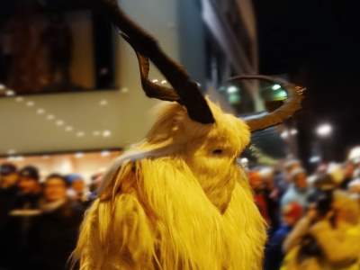 Wildes Allgäu: Klausentreiben