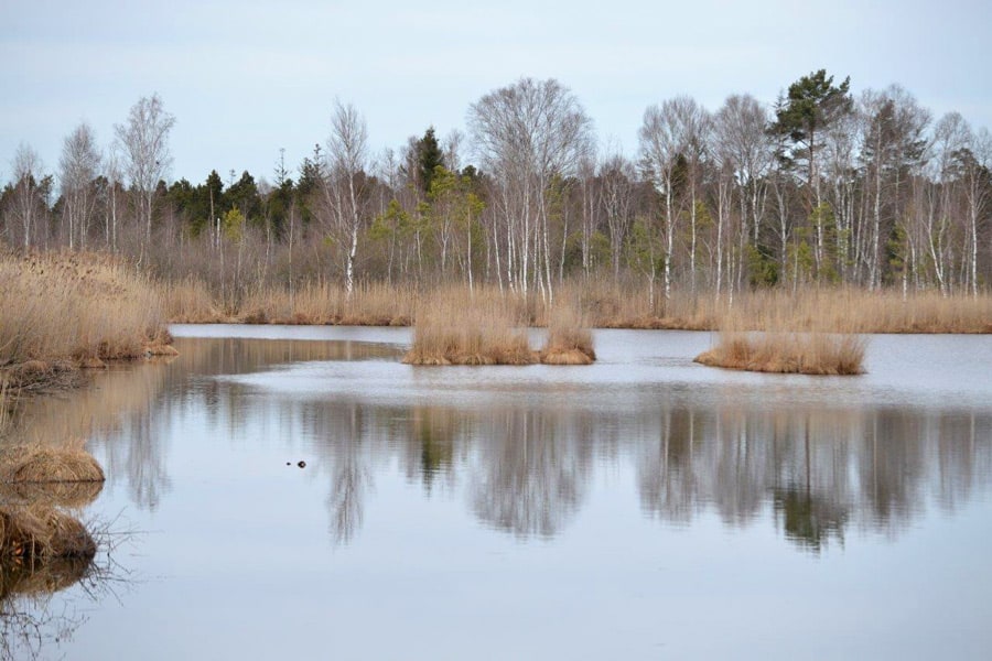Der Ursee im Wurzacher Ried - Moorsee