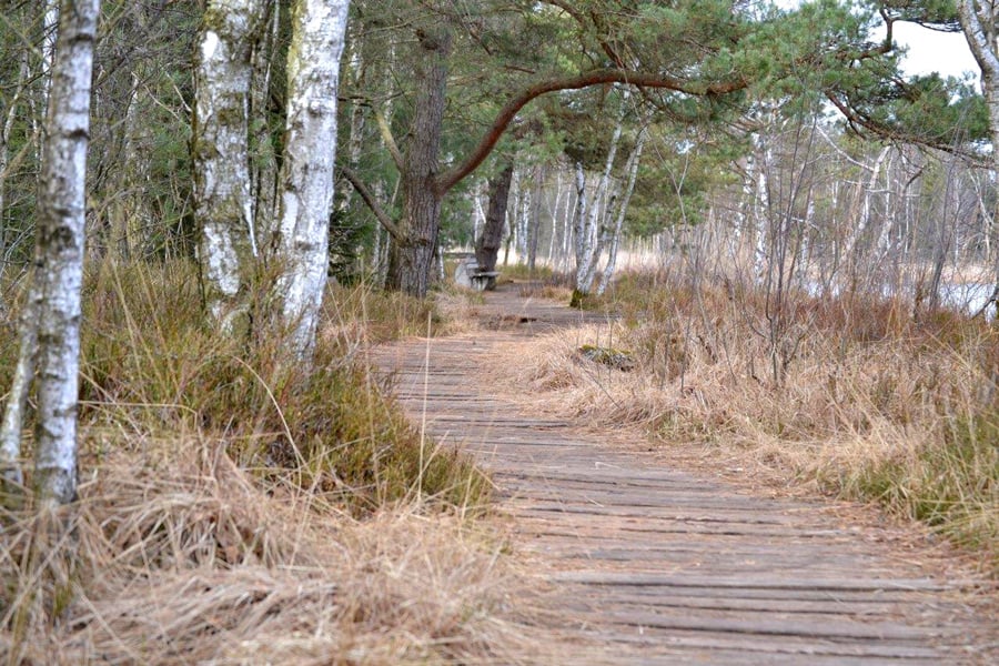 Bohlenweg über Sumpfgebiete im Wurzacher Ried