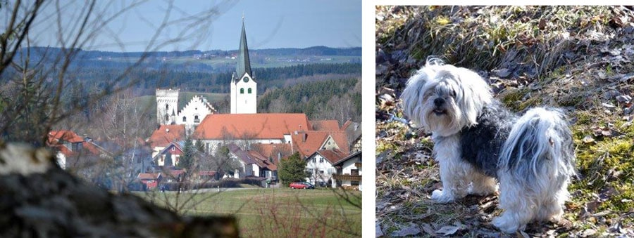Schloss ratzenried und Fidel, das Hündchen