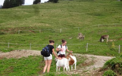 Allgäuer Wandertouren mit Kinder