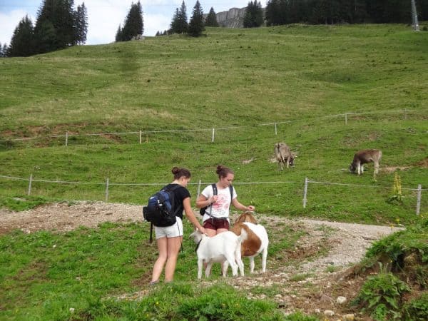 Allgäuer Wandertouren mit Kinder