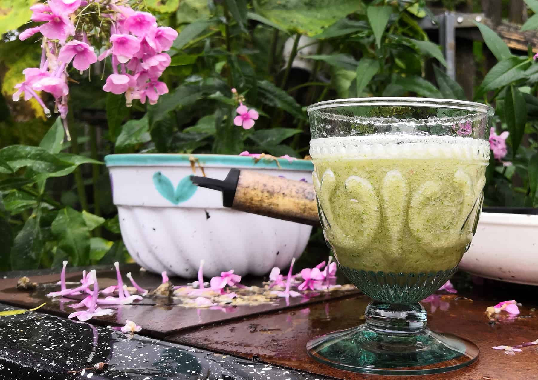 Giersch Smoothie: Superfood Getränk