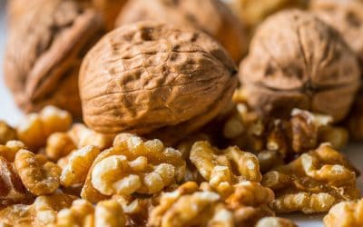 Superfood Walnuss aus dem Allgäu