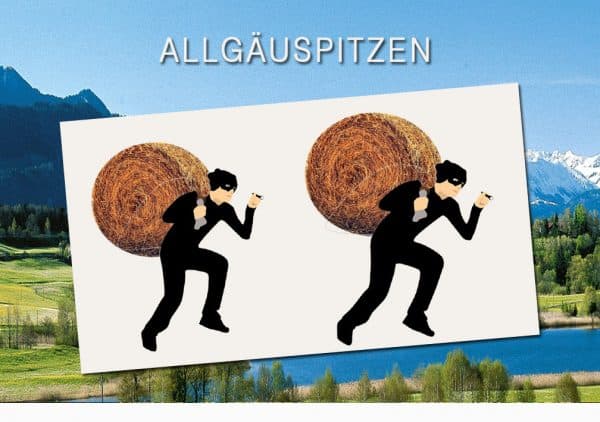 Allgäuspitzen: Der Allgäuer oder GEschichte einer Übernachtung