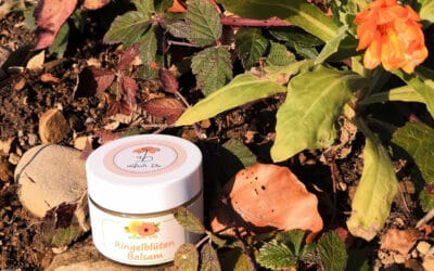 Ringelblumenbalsam aus dem Allgäu