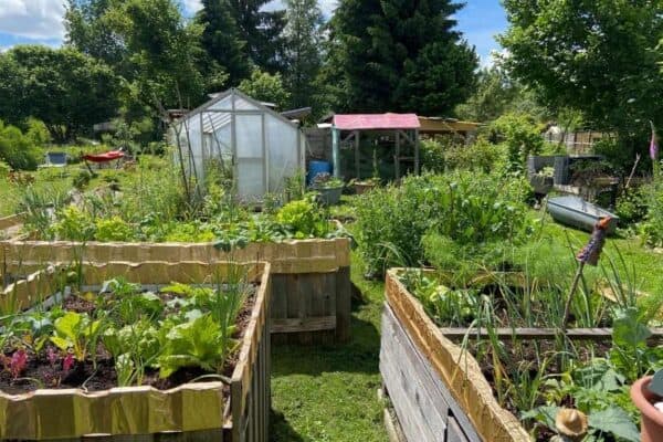 Selbstversorgung mit einem Schrebergarten - ein Selbstversuch