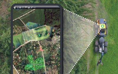 WOOD.IN.VISION - das Startup für die Holzwirtschaft