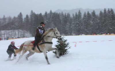 Skijöring im Westallgäu - cooler Wintersport