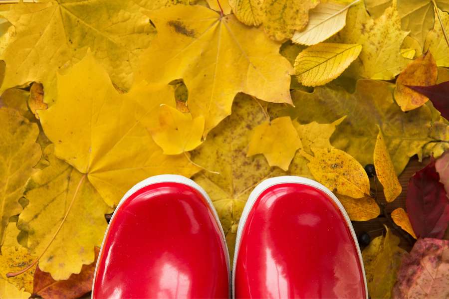 Tag der Gummistiefel auch im Allgäu
