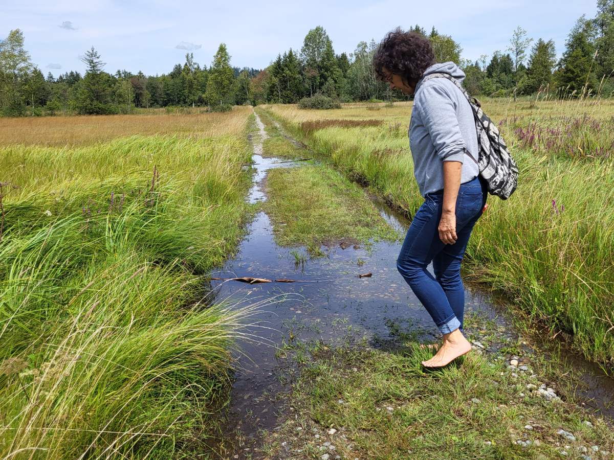 Nass im Bodenmöser Moor