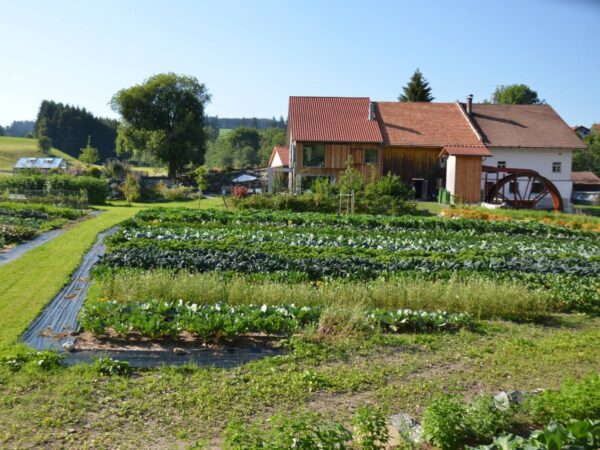 Solidarische Landwirtschaft bei der Oberen Mühle Wertach