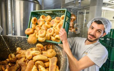 Effektive Kreislaufwirtschaft: Altes Brot wird Alkohol in der Brot-Brennerei