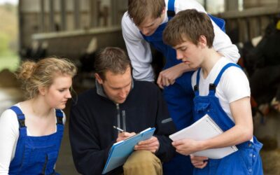Gen Z im Unternehmen binden, motivieren und halten.