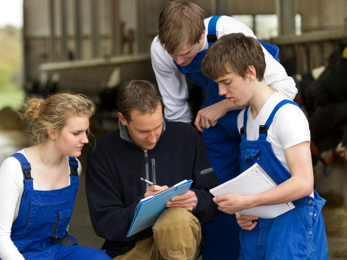 Gen Z in der Ausbildung Gen Z im Unternehmen binden, motivieren und halten.