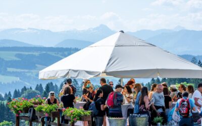 Teamevent in der Waldwelt Skywalk Allgäu: Aperó mit Aussicht. Grossartig!