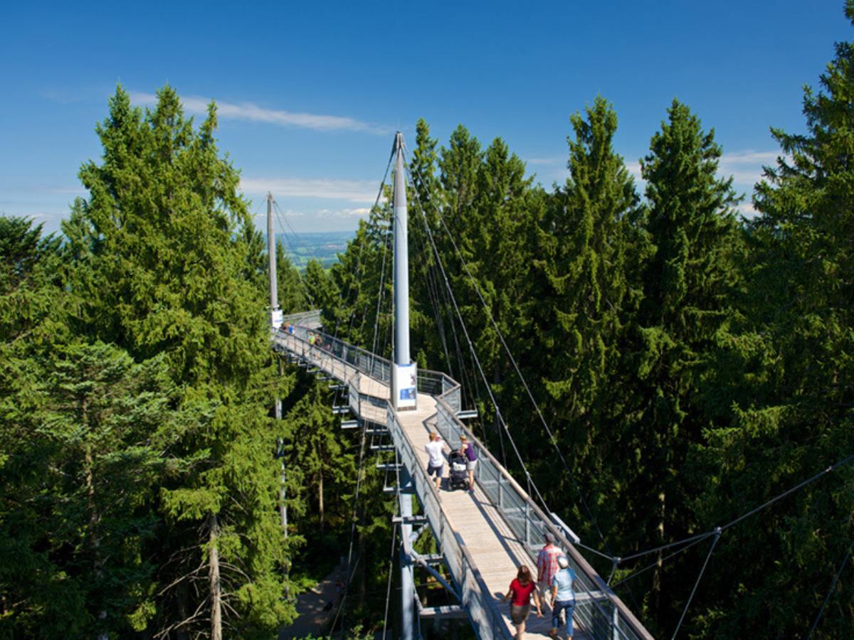 Gruppenevent auch für weniger mobile Menschen auf dem Baumwipfelpfad Allgäu