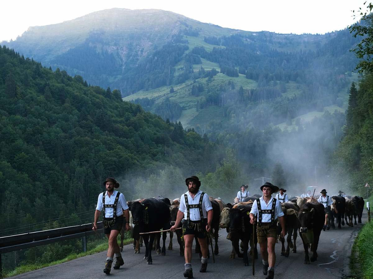 Almabtrieb zum Viehscheid Viehscheid - seit über 50 Jahren Tradirtion im Allgäu